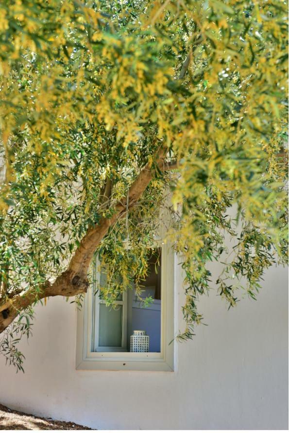 Appartamento Douskos Beach House Hydra  Esterno foto
